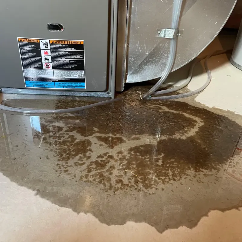 Appliance Leak Cleanup in Whitehall, PA