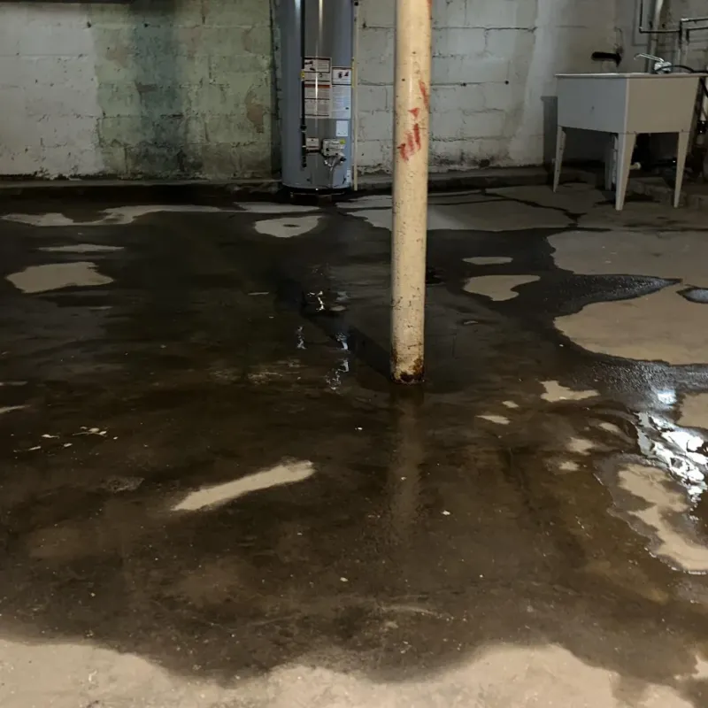 Emergency Water Extraction And Removal in Whitehall, PA